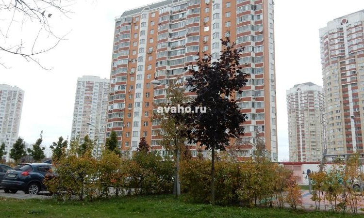 ЖК Мичурино