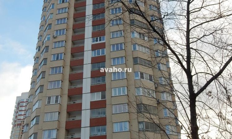ЖК Мичурино
