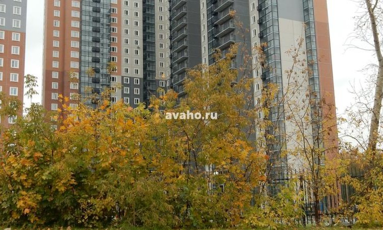 ЖК Мичурино-Запад