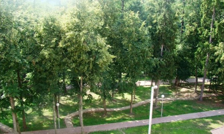 ЖК Чехов