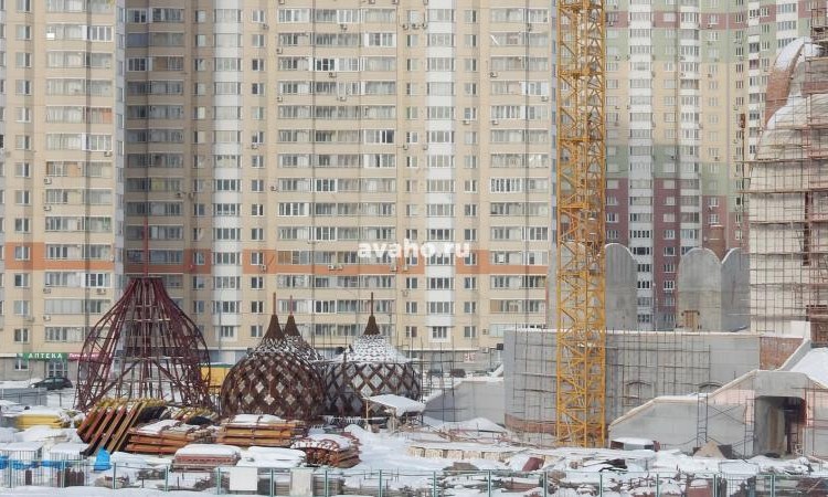 Микрорайон Прибрежный (Павшинская пойма)