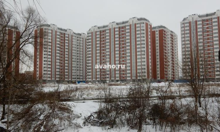 Микрорайон Южное Кучино 2