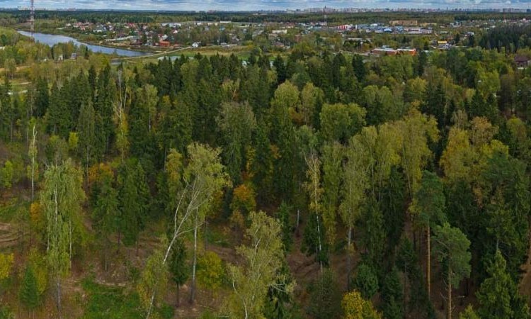 ЖК Аристье