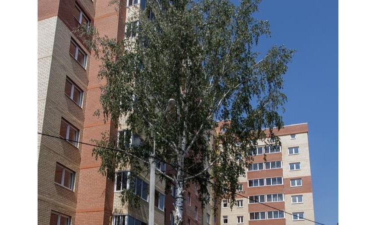 Жилой дом в селе Тарасовка