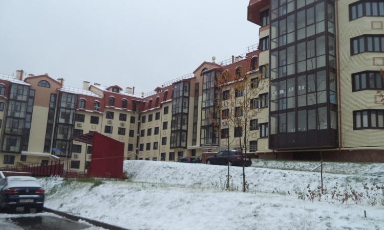 ЖК Западное Кунцево