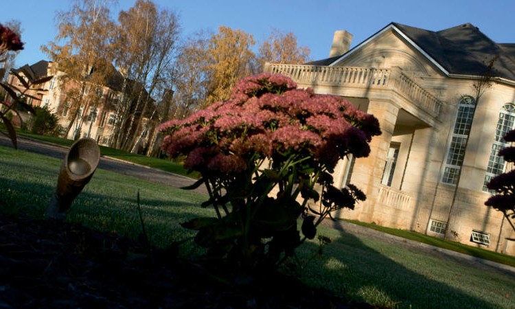 Agalarov Estate (Агаларов Эстейт)
