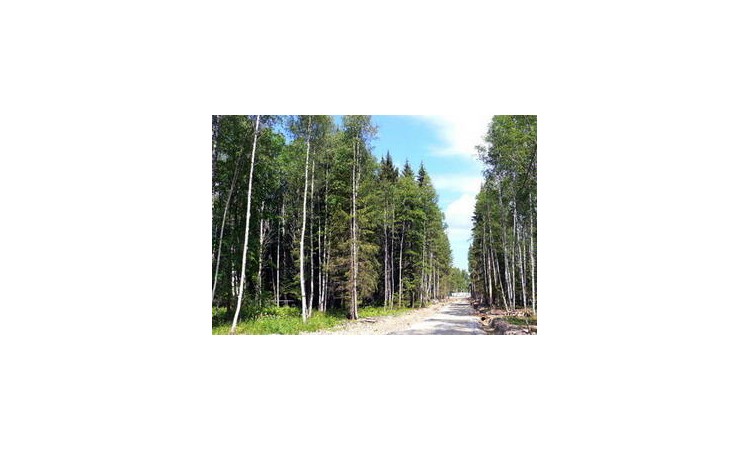 Forest Lake Club (Форест Лейк Клаб)