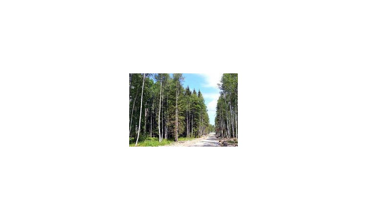 Forest Lake Club (Форест Лейк Клаб)