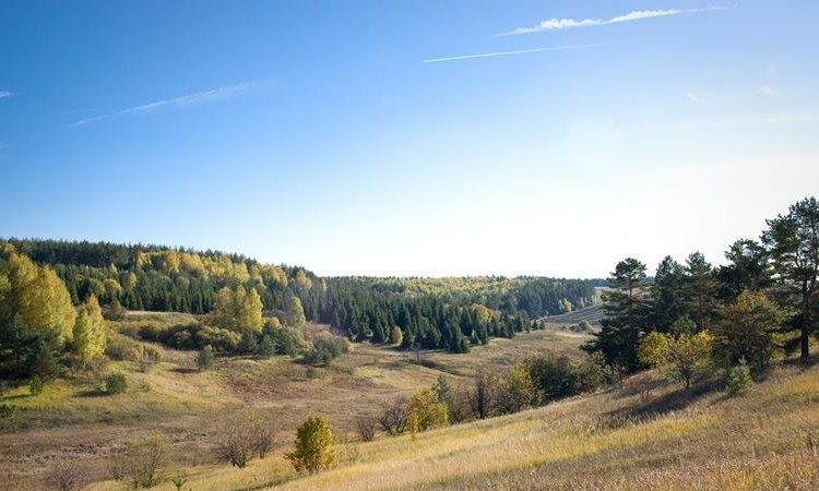 Green park (Грин парк)
