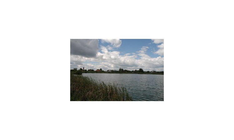 Padikoff (Падикофф)