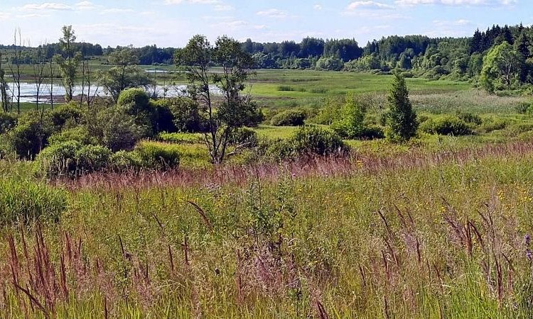 Ruza Resort (Руза Резорт)