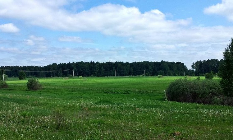 Ruza Resort (Руза Резорт)