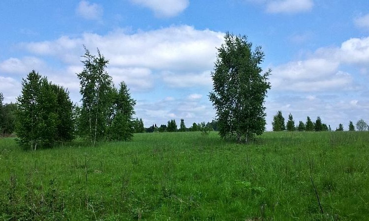 Ruza Resort (Руза Резорт)