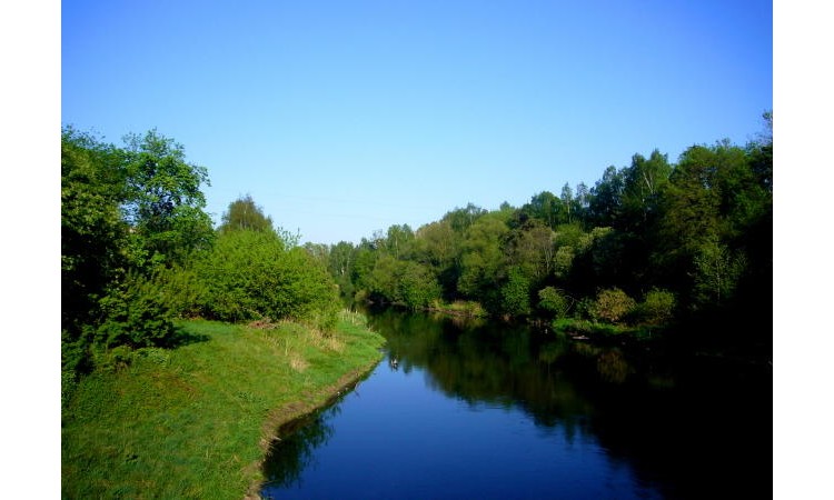 Ruza Resort (Руза Резорт)