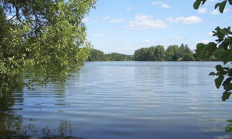Veranda (Веранда)
