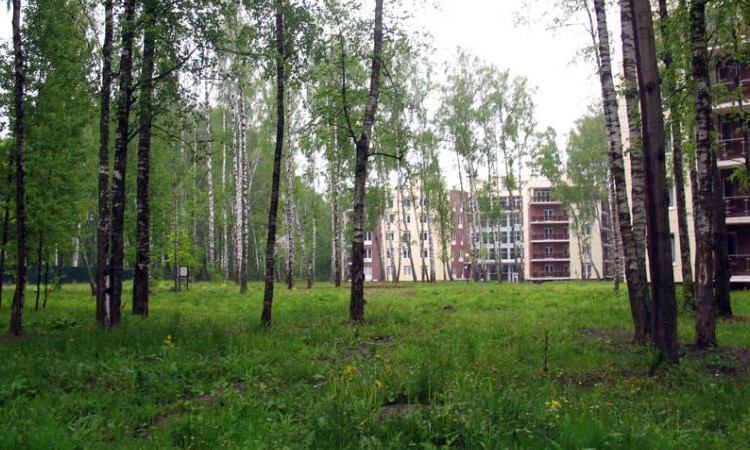 Vitro Village (Витро Вилладж)
