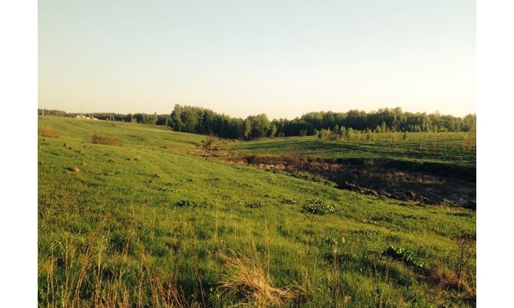 Алино