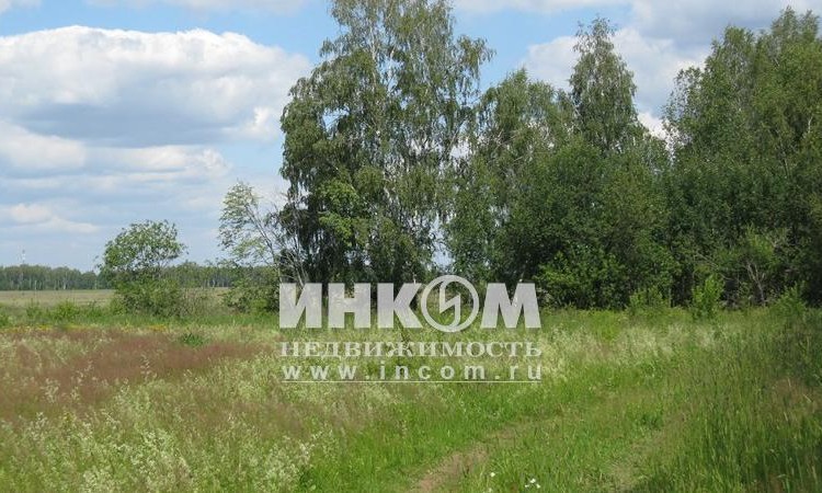 Арнеевские дачи