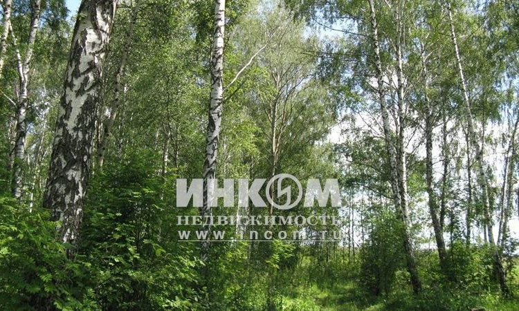 Арнеевские дачи