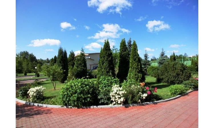 Баллини