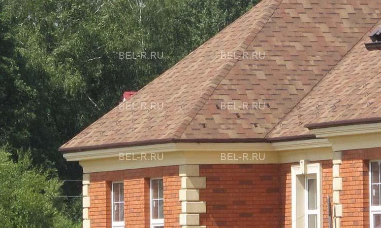 Белые Росы 1,2