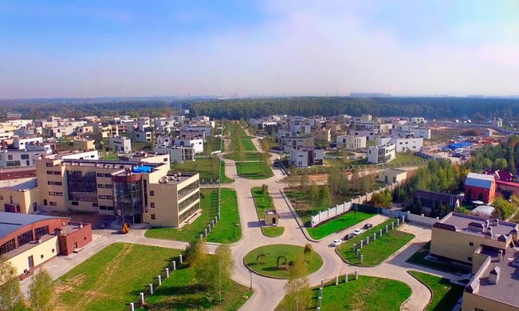 Берёзки