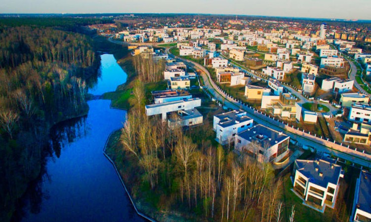 Берёзки