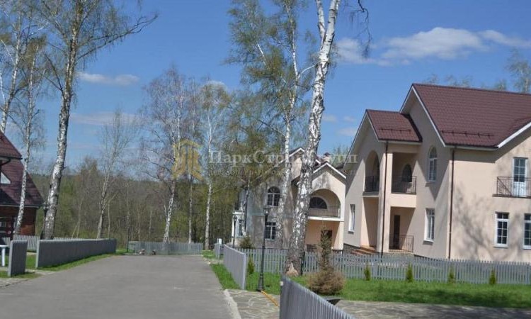 Березовая роща