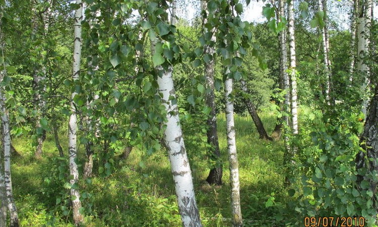 Боборыкино