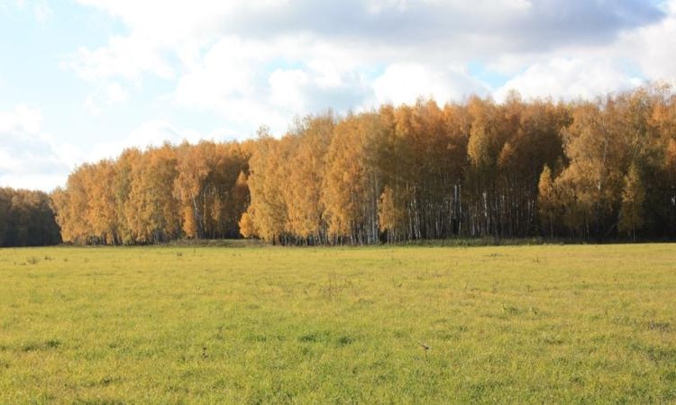 Большое Скрябино