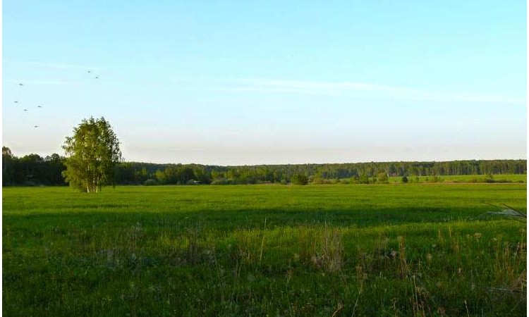 Булгаково