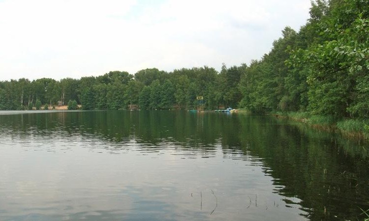 Буньковские просторы
