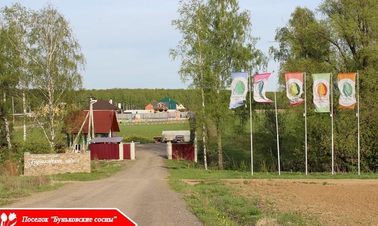 Буньковские Сосны