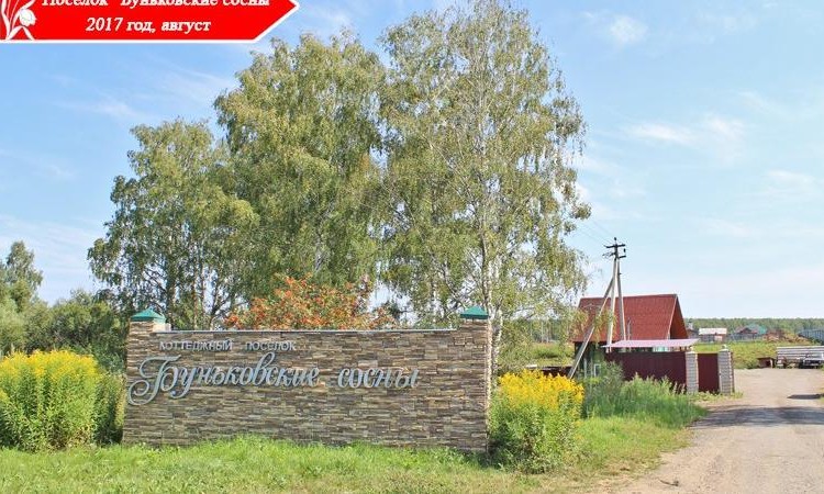 Буньковские Сосны