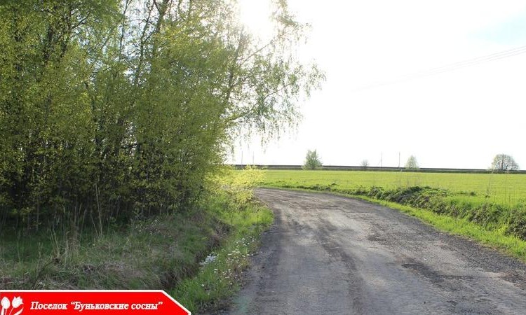 Буньковские Сосны