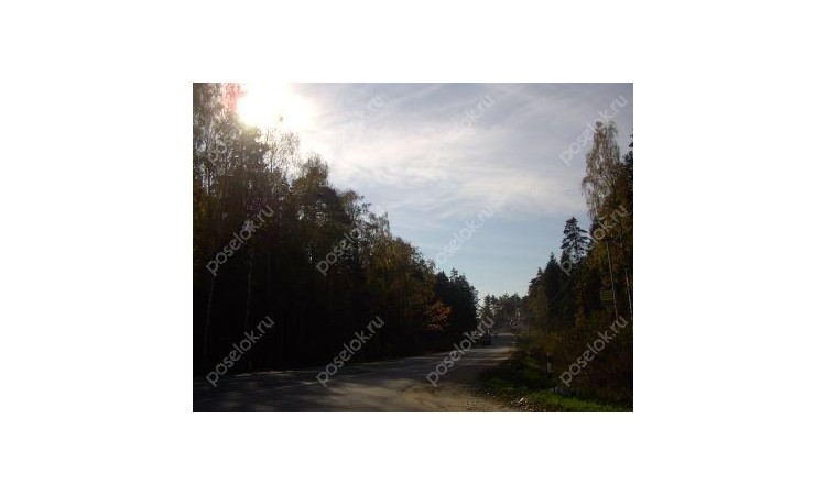Вешки-Заречье