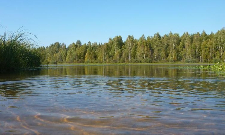 Воскресенское (Ногинский район)