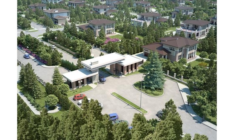 Графский лес