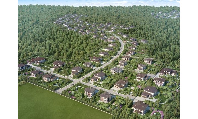 Графский лес