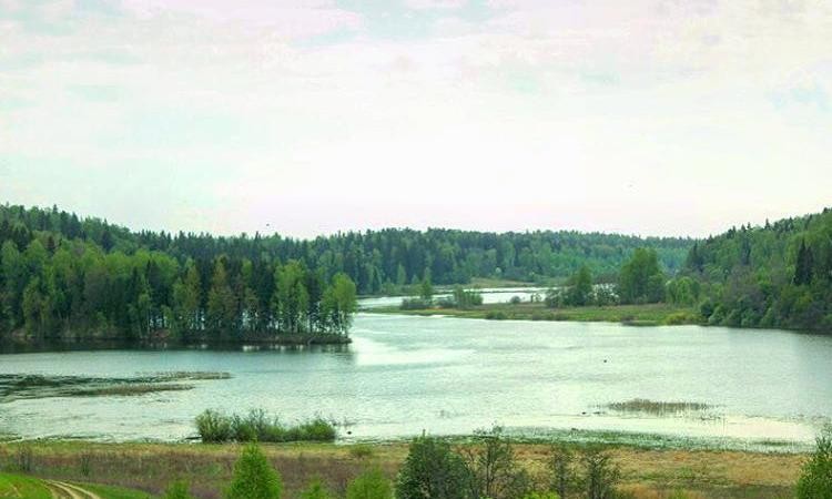 Добродеево