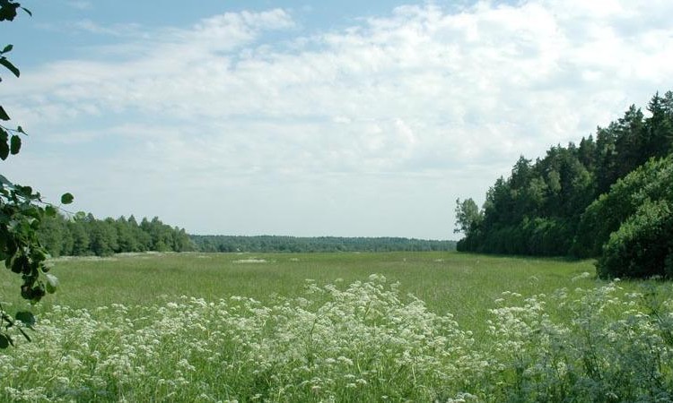 Долина солнца