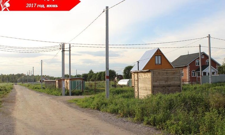 Дубрава