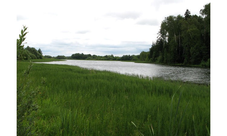 Елизарово park (Елизарово парк)