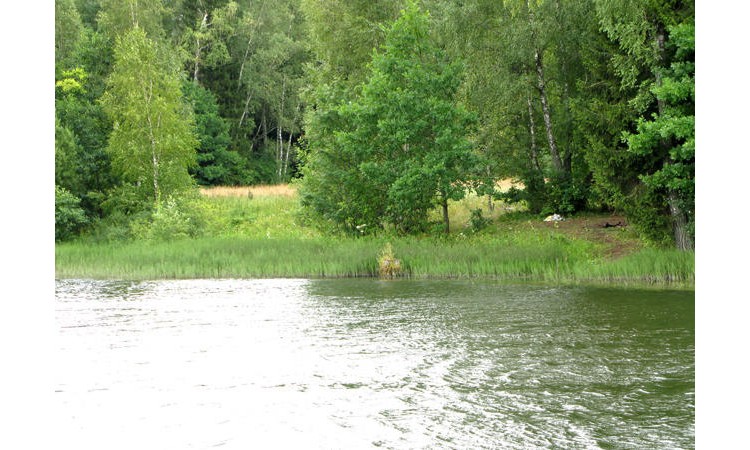 Елизарово park (Елизарово парк)