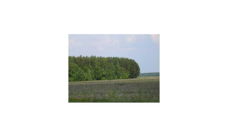 Елизарово park (Елизарово парк)