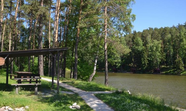 Елочка
