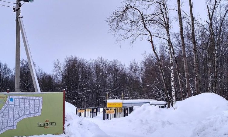 Есипово Форест