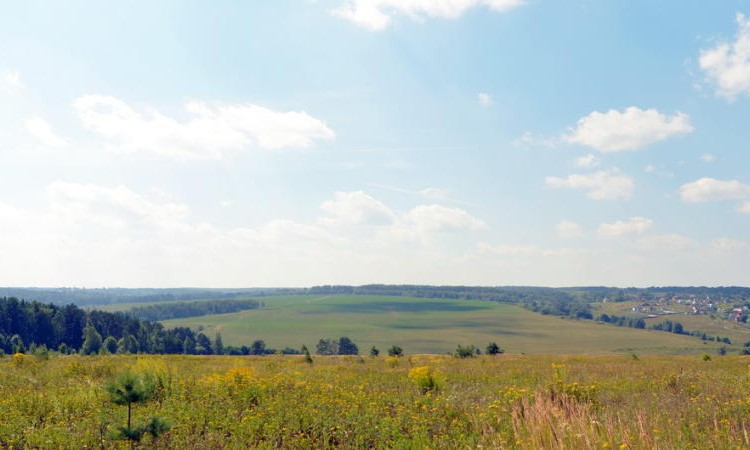 Журавлево-2