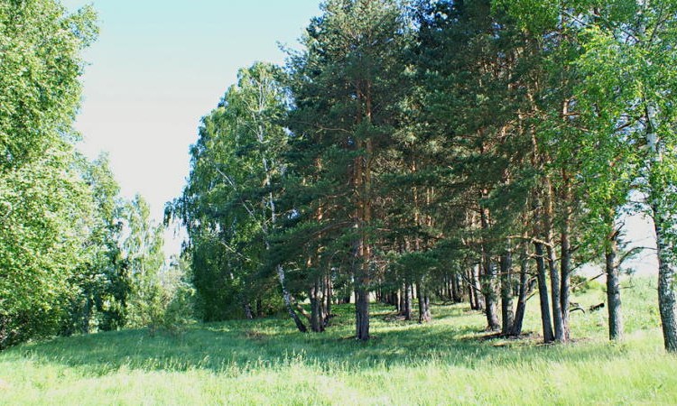 Журавлево-2