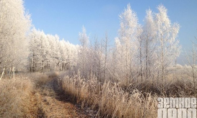 Заречье